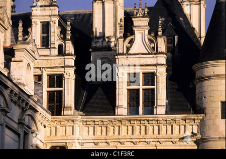 Francia, INDRE E LOIRA e il castello di Chenonceau Foto Stock