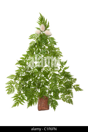 Decorativo abete di Natale da erba verde messo su sfondo bianco Foto Stock