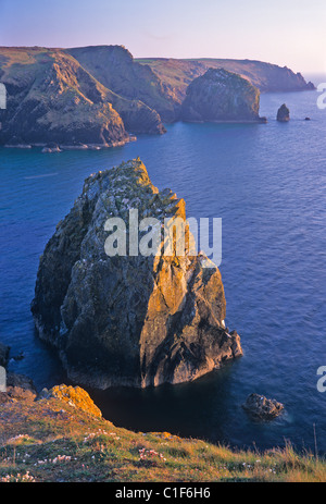 Mullion Cove sulla costa meridionale della Cornovaglia in prima serata Foto Stock