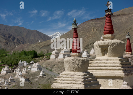 Gli stupa di fronte Stok Palace, nei pressi di Leh, (Ladakh) Jammu e Kashmir India Foto Stock