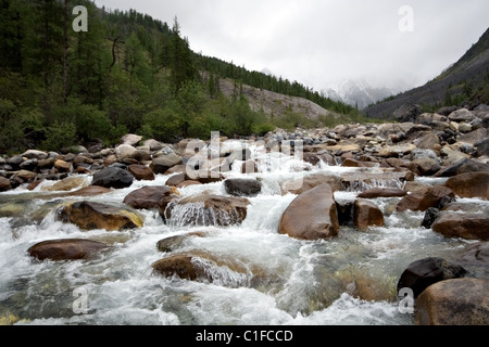 La Siberia. Flusso di fiume di montagna tra i sassi, rocce e alberi. Sayan montagne. Natura selvaggia. Repubblica dei Buriati. La Russia. Foto Stock