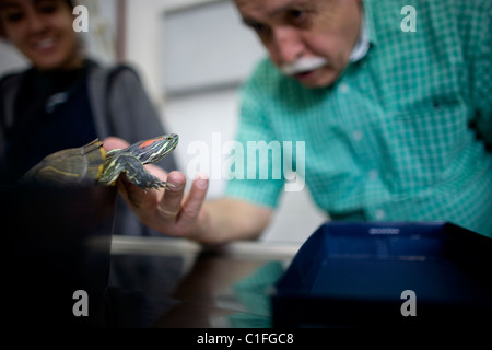 Un uomo gioca con la sua tartaruga in un ospedale di Pet in Condesa, Città del Messico, Messico, 23 febbraio 2011. Foto Stock