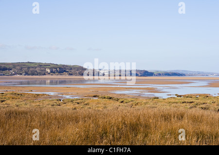 Vista sul molo rosso Bay salt marsh saltings in AONB. Pentraeth, Isola di Anglesey, Galles del Nord, Regno Unito, Gran Bretagna. Foto Stock