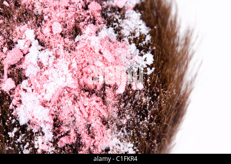 Eyeshadows su professional make-up pennello, macro Foto Stock