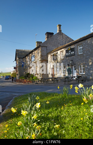 Narcisi e Buck Inn (1874), Malham, North Yorkshire, Inghilterra, Regno Unito Foto Stock