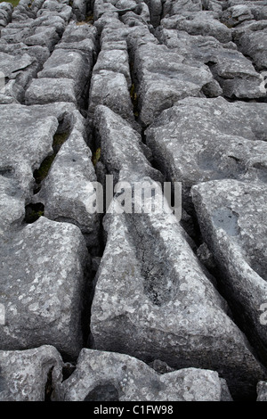 Pavimentazione di pietra calcarea, Malham Cove, vicino Malham Village, Yorkshire Dales National Park, North Yorkshire, Inghilterra, Regno Unito Foto Stock