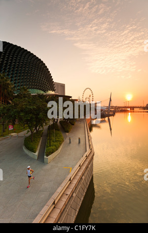 L'Esplanade, i teatri sulla baia edificio all'alba. Il Marina Bay, Singapore Foto Stock