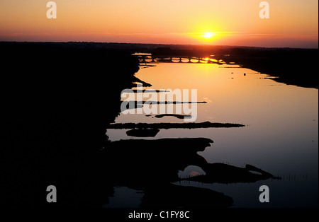 Francia, Maine et Loire, fiume Loira banche vicino villaggio Montsoreau (vista aerea) Foto Stock