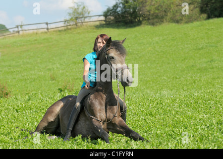 Giovane pilota sul retro di una seduta pony Connemara, circensic lezione Foto Stock