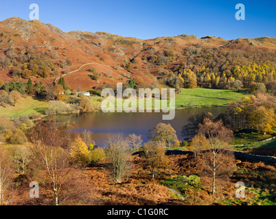 Loughrigg Tarn e cadde preso dalla rupe di testa, Parco Nazionale del Distretto dei Laghi, Cumbria, Inghilterra. In autunno (novembre 2010). Foto Stock