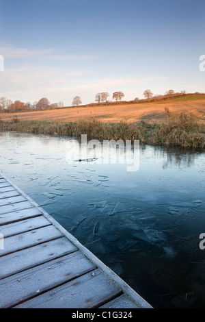 Frosty mattina accanto al Grand Canal occidentale vicino a Sampford Peverell, Devon, Inghilterra. Inverno (novembre 2010). Foto Stock