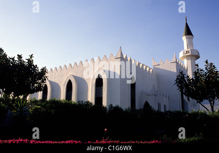 Spagna, Andalusia, Marbella, Costa del Sol, moschea Foto Stock