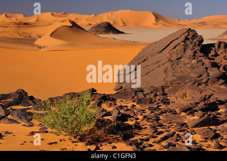 Paesaggio del Sahara Foto Stock