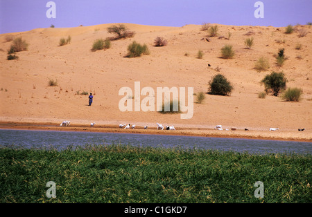 Mali, le rive del fiume Niger Foto Stock