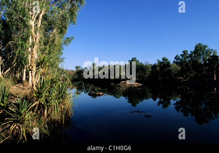 Australia, Australia occidentale, Kimberley, Manning Gorge sulla Gibb River Road Foto Stock