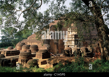 L'India,stato del Bihar, Nalanda, i ruderi della più grande università Buddhic in India Foto Stock