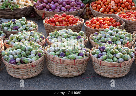 Verdure indiano. La melanzana / melanzana o Brinjal e pomodori in cesti in un mercato indiano. Andhra Pradesh, India Foto Stock