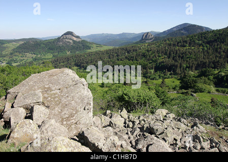 Francia, Ardeche, Massif du Mezenc, Parc naturel regional des Monts d'Ardeche, vers Saint-Clement, a droite de suc de Gouleyou Foto Stock