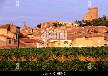 Francia, Vaucluse, villaggio di Chateauneuf du Pape Foto Stock