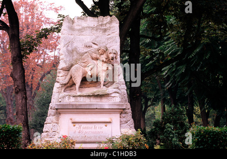 Francia, Hauts de Seine, Asnieres, cimitero di cani, stela di Barry Foto Stock