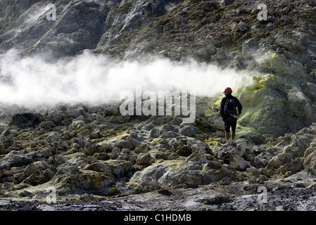 Nuova Zelanda, North Island, isola bianca, vulcano attivo si trova su un isola a cinquanta chilometri di costa di Whakatane Foto Stock