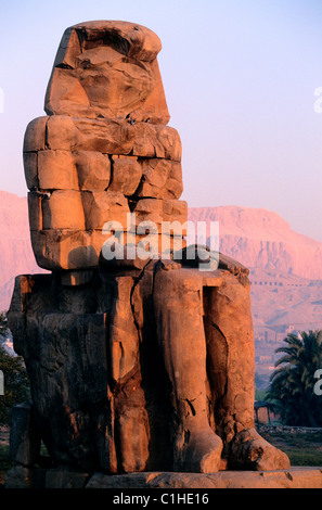Egitto Luxor, West Tebe, il Colosso di Memnon Foto Stock