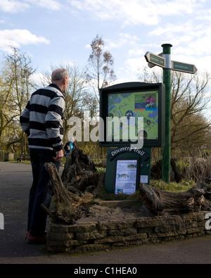 Martin Mere Wildfowl & Wetlands Trust, Burscough, vicino a Southport, Lancashire, Regno Unito Foto Stock