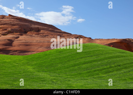 Colore verde brillante campo per una partita di golf Foto Stock