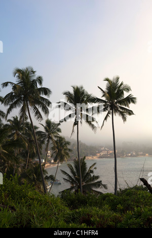 Le palme sono visibili nei pressi di Unawatuna Beach sulla costa sud dello Sri Lanka Foto Stock