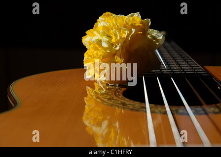 La chitarra classica & daffodil fiore Foto Stock