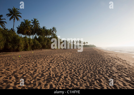 Una vista di Marakolliya Beach sulla costa sud dello Sri Lanka Foto Stock