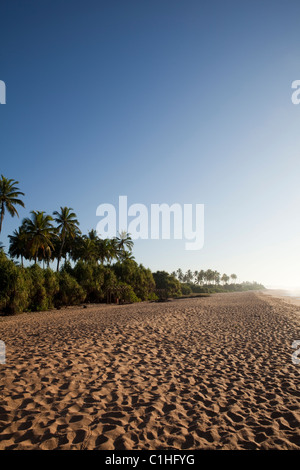 Una vista di Marakolliya Beach sulla costa sud dello Sri Lanka Foto Stock