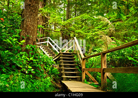 Percorso attraverso la foresta pluviale temperata. Pacific Rim National Park, della Columbia britannica in Canada Foto Stock