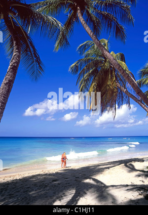 Coppia che fa una passeggiata lungo il bordo delle acque di sabbia palma paesaggio di spiaggia caraibica in un'idilliaca giornata di cielo azzurro e soleggiato sulla costa occidentale delle Barbados Foto Stock