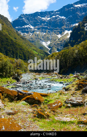 La tomaia Wilkin river valley sull'isola del sud della Nuova Zelanda Foto Stock