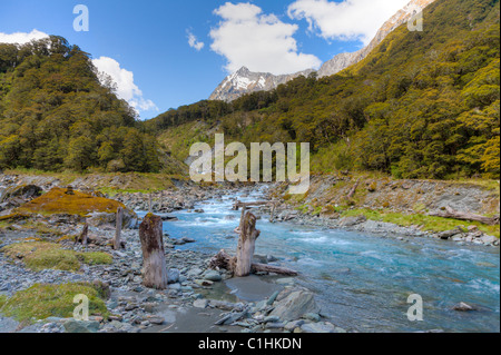 La tomaia Wilkin river valley sull'isola del sud della Nuova Zelanda Foto Stock