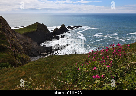 Vista dalla costa sud-ovest il percorso della selvaggia costa rocciosa a Hartland Quay, Devon, Inghilterra Foto Stock