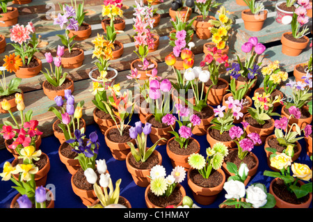 Un assortimento di casa colorati vasi di piante sul display e per la vendita nel corso di una giornata di sole. Foto Stock