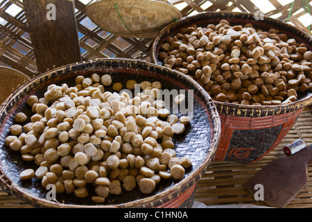 Zollette di zucchero fatte dal Palmyra o toddy palm, vicino a Bagan, Myanmar Foto Stock