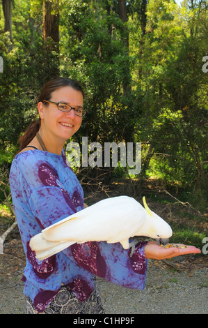 Una giovane donna alimentazione manuale di un pappagallo in Dandenongs foresta, vicino a Melbourne in Australia Foto Stock