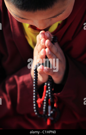 Nessuno buddista in Himalaya Foto Stock