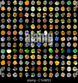 Abstract sfondo da una varietà di 3D-elementi su uno sfondo nero Foto Stock