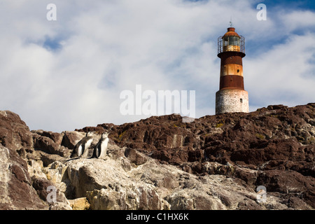 Faro, Isla Pinguina Foto Stock
