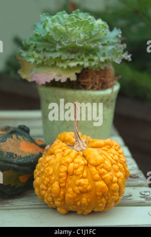 Decorazione autunnali con zucca ornamentale Foto Stock