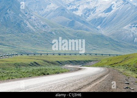 Alaska Pipeline, Brooks Range montagne, Alaska, STATI UNITI D'AMERICA Foto Stock