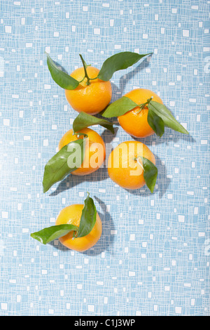 Mandarini arance Foto Stock