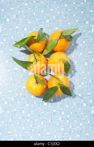 Mandarini arance Foto Stock