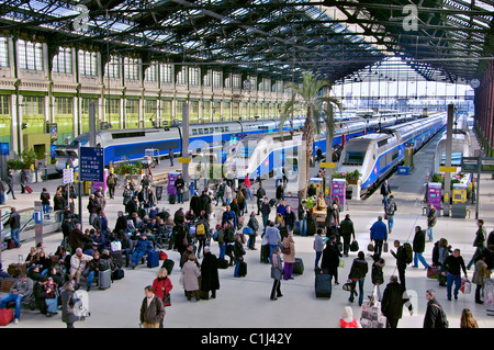 La stazione Gare de Lyon a Parigi con i treni TGV. Foto Stock