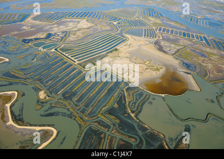 Vista aerea del Aquacultures nella Baia di Cadice, Costa de la Luz, la provincia di Cadiz Cadice, Andalusia, Spagna Foto Stock