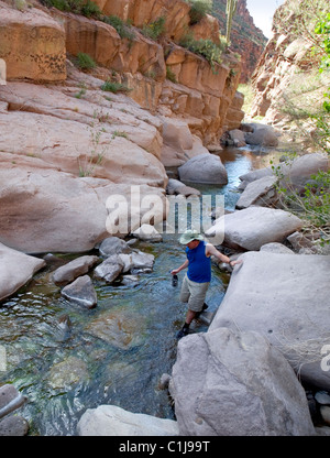 Un uomo alla scoperta di un piccolo ruscello in Arizona. Questo è un piccolo affluente del fiume sale appena a nord del Lago di Roosevelt. Foto Stock